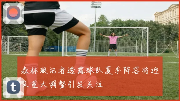 森林狼记者透露球队夏季阵容将迎来重大调整引发关注